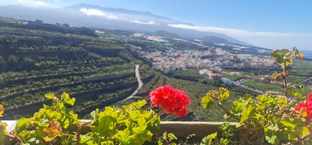 Appartamento Vivienda Vacacional Los Geranios Tazacorte Esterno foto